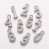 Alloy Pendants PALLOY-F176-B-1