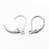 Tarnish Resistant 304 Stainless Steel Leverback Earring Findings STAS-F075-37P-A-2