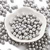 Baking Paint Glass Seed Beads SEED-H003-02F-2