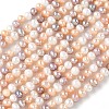 Natural Cultured Freshwater Pearl Beads Strands PEAR-C004-12-2