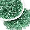 Baking Paint Transparent Glass Seed Beads SEED-N006-05J-1