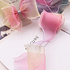 1 Bag Gradient Color Organza Ribbon OHAR-CY0001-01A-6