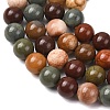 Natural Gobi Agate Mongolia Colorful Jade Beads Strands GG-CBA3173-A01-10mm-3
