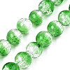 Handmade Luminous Transparent Lampwork Beads Strands LAMP-T017-04D-1