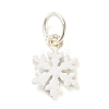 Christmas Themes Alloy Enamel Charms FIND-I063-01K-1