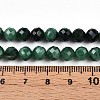 Natural Fuchsite Beads Strands G-T140-20A-5