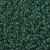 MIYUKI Round Rocailles Beads X-SEED-G007-RR0147F-3