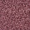 TOHO Round Seed Beads SEED-XTR11-0771FM-2