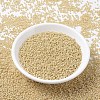 MIYUKI Round Rocailles Beads SEED-G007-RR0488-2