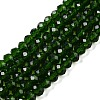 Glass Beads Strands EGLA-A044-T4mm-D24-1