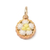 Spray Painted Brass Charms KK-CBAEB58-01C-1