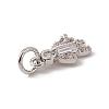 Brass Micro Pave Cubic Zirconia Charms ZIRC-F132-08P-3