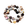 Natural Black Lip Shell Beads Strands SSHEL-N003-151C-2