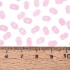 FGB Frosted Transparent Glass Seed Beads SEED-N013-06A-05-4