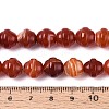 Dyed Natural Agate Beads Strands G-T144-27C-5