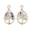 Natural Fluorite Pendants G-T131-95B-03-2