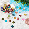 Craftdady 100Pcs 10 Colors Spray Paint Natural Akoya Shell Pendants SHEL-CD0001-01-5