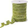 Sparkle Polyester Ribbon OCOR-WH0082-158A-02-1