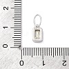 925 Sterling Silver Cubic Zirconia Charms STER-NH0014-01P-08-3