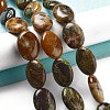 Natural Wealth Stone Beads Strands G-P528-M11-01-2