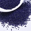 MIYUKI Delica Beads SEED-X0054-DB2144-1