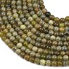 Natural Canada Jade Beads Strands G-B171-B01-4mm-4