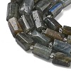 Natural Labradorite Beads Strands G-C270-K19-02-4