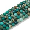 Dyed Natural Regalite/Imperial Jasper/Sea Sediment Jasper Beads Strands X-G-B124-C04-07-1