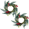 PP Plastic and Foam and Wire Christmas Wreath AJEW-WH20060-21-7