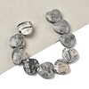 Natural Map Stone Beads Strands G-A309-A17-01-1