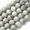 Natural Chinese Jade Southern Jade Beads Strands G-H343-D08-12mm-2