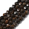 Natural Bronzite Beads Strands G-Z119-A30-01-3