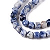 Natural Blue Spot Jasper Beads Strands G-N342-113-3