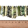 Natural Serpentine Beads Strands G-Q616-06D-4