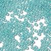 Glass Seed Beads X1-SEED-H002-E-A1419-3