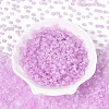 Baking Paint Glass Seed Beads GLAA-T023-43G-1