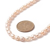 Natural Pearl Beaded Necklace for Women NJEW-JN04188-01-4