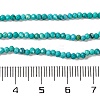 Natural Howlite Beads Strands G-H025-03A-02-5