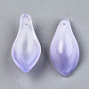 Two Tone Spray Painted Glass Pendants GLAA-N042-001A-D06-2