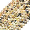Natural Flower Amazonite Beads Strands G-C116-A72-02-2