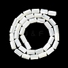 Natural Trochus Shell Beads Strands X-BSHE-Z003-18-2