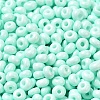 Baking Paint Glass Seed Beads X1-SEED-B001-02A-14-3