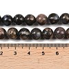 Natural Glaucophane Beads Strands G-R485-12-8mm-4