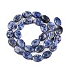 Natural Blue Spot Jasper Beads Strands G-M206-40-2