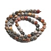 Natural Ocean Jasper Beads Strands G-C179-A09-02-3