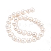 Natural Cultured Freshwater Pearl Beads Strands PEAR-C003-12G-3