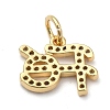 Brass Micro Pave Clear Cubic Zirconia Charms LS-ZIRC-A013-24G-2