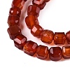 Dyed Natural Agate Beads Strands G-T138-211F-3