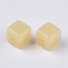 Imitation Jelly Acrylic Beads LS-JACR-R022-A05-2