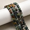 Natural Indian Agate Beads Strands G-F797-A04-01-1